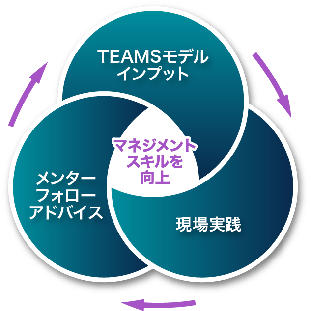 TEAMSモデルインプット